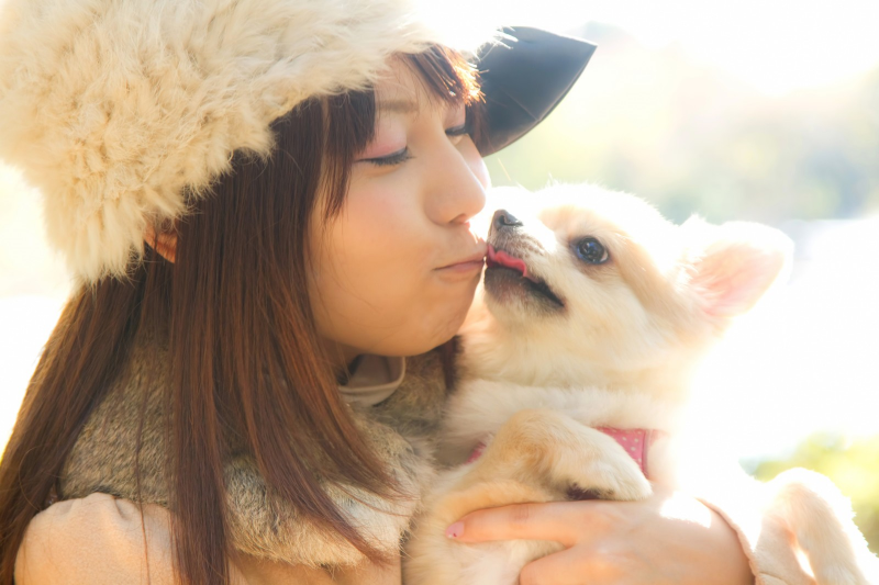 犬　水だけで何日生きられる